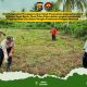 Persiapan Penanaman Jagung Kuartal II di Pulau Palas Mulai Dimatangkan