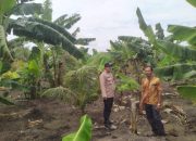 Program Hortikultura Desa Teluk Nibung Dapat Pendampingan Polsek Pulau Burung
