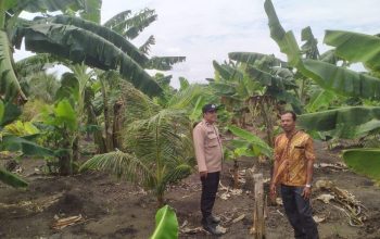 Program Hortikultura Desa Teluk Nibung Dapat Pendampingan Polsek Pulau Burung