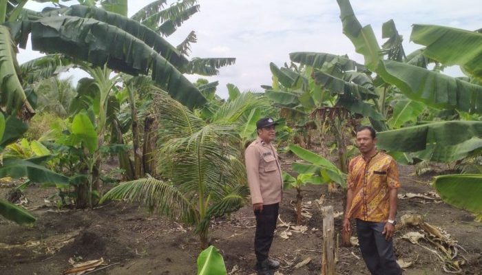 Program Hortikultura Desa Teluk Nibung Dapat Pendampingan Polsek Pulau Burung
