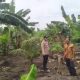 Program Hortikultura Desa Teluk Nibung Dapat Pendampingan Polsek Pulau Burung