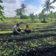Dukung Ketahanan Pangan, Bhabinkamtibmas Tagaraja Sambangi Petani Sayur