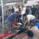Idul Adha di Senggoro, Warga dan Panitia Kompak Sukseskan Penyembelihan Qurban