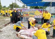 Perkuat Solidaritas, PWMOI Riau Gelar Penyembelihan Hewan Kurban Perdana