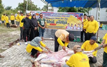 Perkuat Solidaritas, PWMOI Riau Gelar Penyembelihan Hewan Kurban Perdana