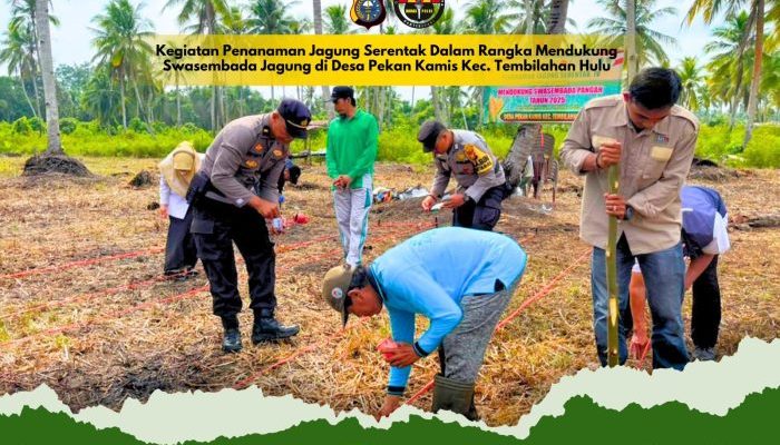 Polsek Tembilahan Hulu Bersama Warga Tanam Jagung Serentak Dukung Swasembada Pangan
