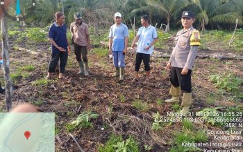 Bhabinkamtibmas Concong Monitoring Tanaman Jagung untuk Swasembada Pangan Nasional