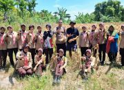Masuki Fase Berbuah, Jagung Binaan Polsek Rupat Diproyeksikan Panen Juni 2026