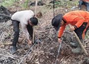 Polsek Concong Dukung Asta Cita Presiden, Tanam Jagung Monokultur di Concong Tengah