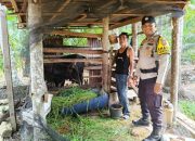Bhabinkamtibmas Desa Sialang Panjang Sambangi Peternak Sapi Dukung Ketahanan Pangan