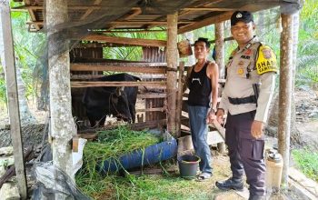Bhabinkamtibmas Desa Sialang Panjang Sambangi Peternak Sapi Dukung Ketahanan Pangan