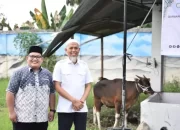 Wali Kota Dumai Terima Bantuan Sapi Qurban dari PMRJ
