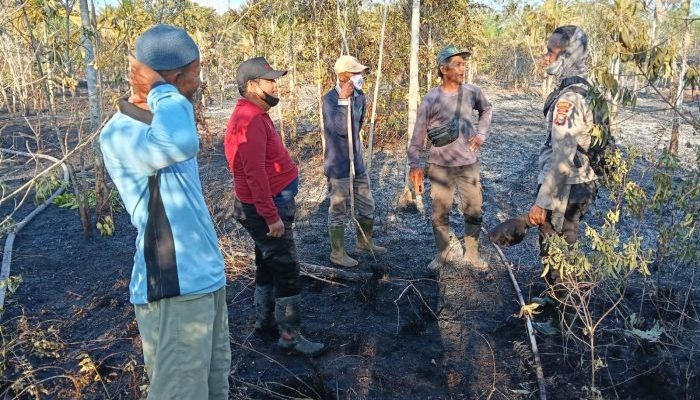 Diduga Sebabkan Kebakaran Lahan di Pedekik, Pria 54 Tahun Ditetapkan Tersangka