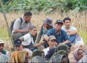 Pemkab Dharmasraya Salurkan 14 Traktor dan 95,85 Ton Benih Padi untuk Petani