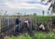 Dukung Ketahanan Pangan, Bhabinkamtibmas Polsek Kateman Dampingi Warga Manfaatkan Pekarangan