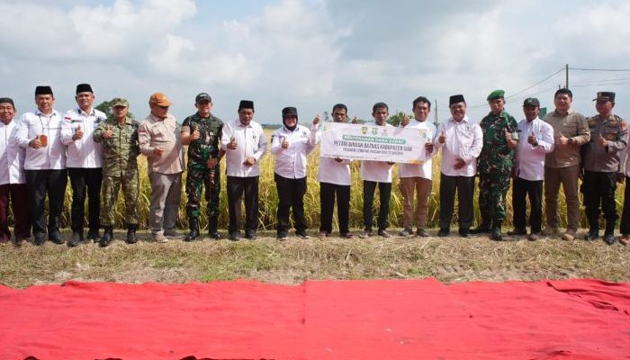 Bupati Afni Apresiasi Panen Perdana Padi Zakat Produktif, Dorong Kemandirian Ekonomi Mustahik