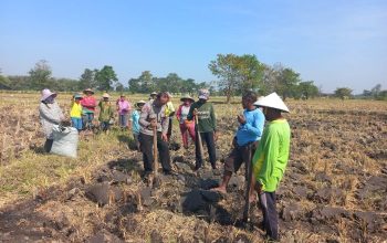 Dukung Asta Cita, Polsek Diwek Tanam Jagung Bersama Kelompok Tani di Desa Keras