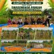 Polsek Kateman Panen Jagung 500 Kilogram, Dukung Program Swasembada Pangan Nasional