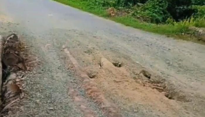 Warga Simeulue Desak Pemerintah Aceh Bangun Permanen Jembatan Amaiteng