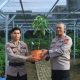 Kapolres Inhil Cek Bank Pohon, Personel yang Berulang Tahun Diberi Hadiah Bibit Pohon
