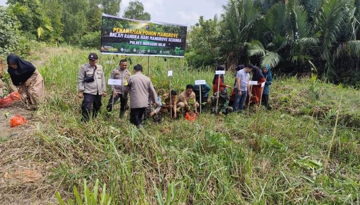 Dukung Green Policing, Polsek Reteh Hijaukan Pesisir dengan Penanaman Mangrove