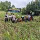 Dukung Green Policing, Polsek Reteh Hijaukan Pesisir dengan Penanaman Mangrove