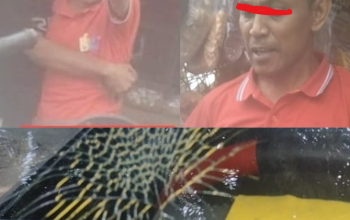 Diduga Jadi Korban Perusakan dan Pengancaman, Pemilik Armada Sampah Siapkan Laporan Polisi