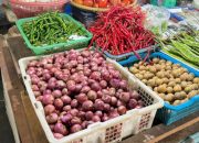 Harga Cabai Merah di Pasar Sail Pekanbaru Naik, Bawang Merah dan Putih Justru Turun
