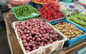 Harga Cabai Merah di Pasar Sail Pekanbaru Naik, Bawang Merah dan Putih Justru Turun