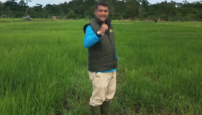 Wujudkan Kemandirian Pangan, Distanpan Simeulue Kembangkan Demplot Hortikultura