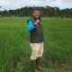 Wujudkan Kemandirian Pangan, Distanpan Simeulue Kembangkan Demplot Hortikultura