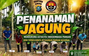 Polsek Reteh Dukung Swasembada Pangan, Tanam Jagung di Desa Mekar Sari
