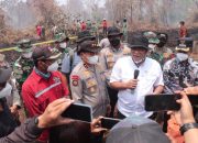 Menteri LH Tinjau Karhutla Kampar, 4 Hektare Lahan Terbakar Berhasil Dipadamkan