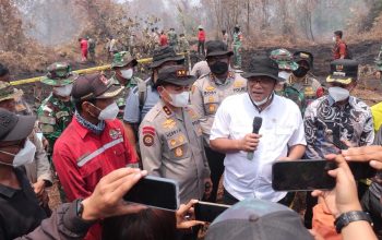 Menteri LH Tinjau Karhutla Kampar, 4 Hektare Lahan Terbakar Berhasil Dipadamkan