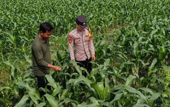 Bhabinkamtibmas Polsek Perak Ajak Warga Optimalkan Lahan Pertanian
