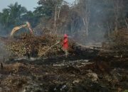 Karhutla Riau Mulai Menurun, BPBD Ingatkan Ancaman Bara Api di Lahan Gambut
