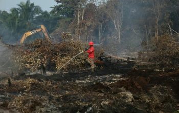 Karhutla Riau Mulai Menurun, BPBD Ingatkan Ancaman Bara Api di Lahan Gambut