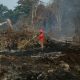 Karhutla Riau Mulai Menurun, BPBD Ingatkan Ancaman Bara Api di Lahan Gambut