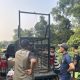Beruang Muncul Dekat Permukiman, BBKSDA Riau Pasang Perangkap di Kampar