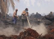 Kapolres Inhil Pimpin Pemadaman Karhutla di Belantaraya, 7 Hektare Lahan Terbakar