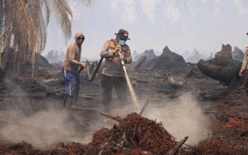 Kapolres Inhil Pimpin Pemadaman Karhutla di Belantaraya, 7 Hektare Lahan Terbakar