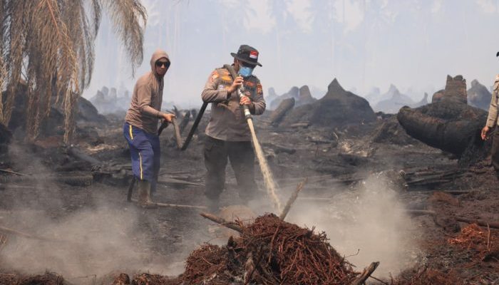 Kapolres Inhil Pimpin Pemadaman Karhutla di Belantaraya, 7 Hektare Lahan Terbakar