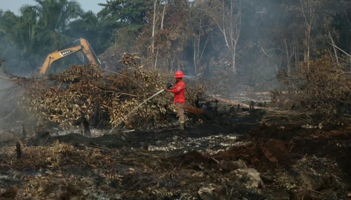 Karhutla Riau Meluas, Luas Lahan Terbakar Bertambah 87,9 Hektar
