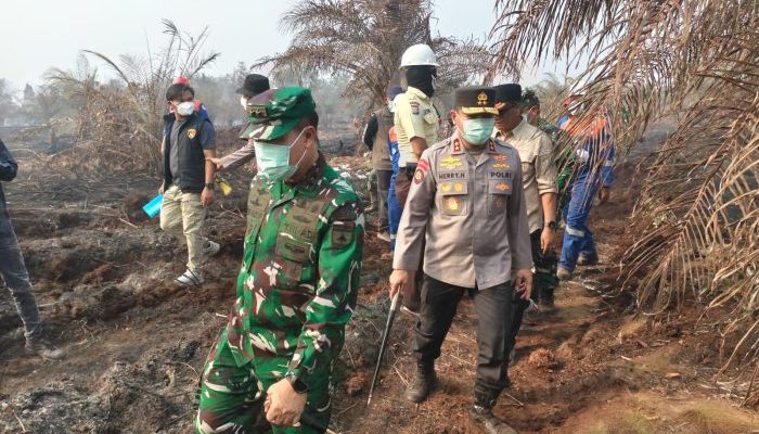 Pangdam XIX/TT dan Kapolda Riau Tinjau Karhutla 34 Hektare di Siak