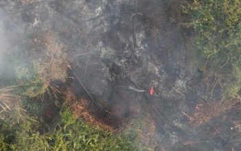 10 Lokasi Karhutla di Riau Masih Ditangani, Pemadaman Capai Hari ke-10