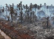 Sepanjang 2026, Polres Inhil Tangani 9 Kasus Karhutla, 9 Orang Jadi Tersangka