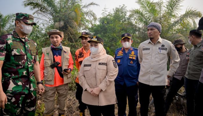 Bupati Kasmarni Turun Langsung Padamkan Karhutla di Sungai Meranti, 20 Hektare Lahan Terbakar