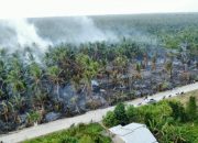 Karhutla Lahan Gambut di Sungai Luar Inhil, Tim Gabungan Berjibaku Padamkan Api