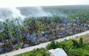 Karhutla Lahan Gambut di Sungai Luar Inhil, Tim Gabungan Berjibaku Padamkan Api