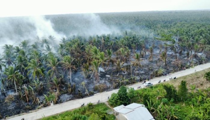Karhutla Lahan Gambut di Sungai Luar Inhil, Tim Gabungan Berjibaku Padamkan Api